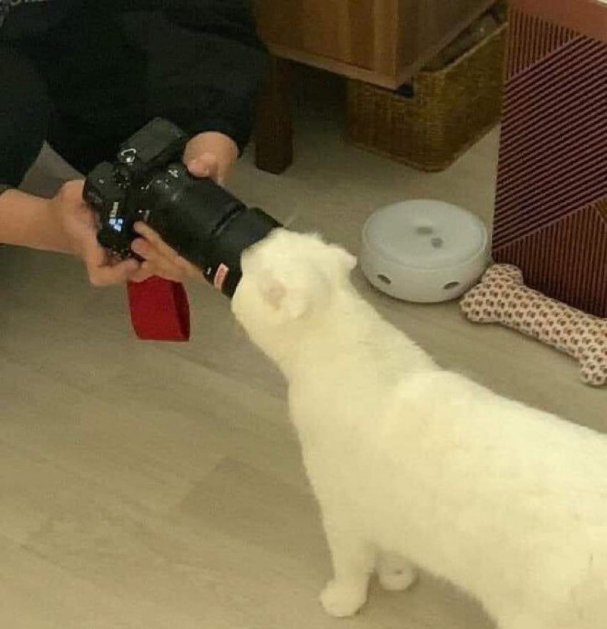 When athletes say take my picture and you have the 70-200 lens on