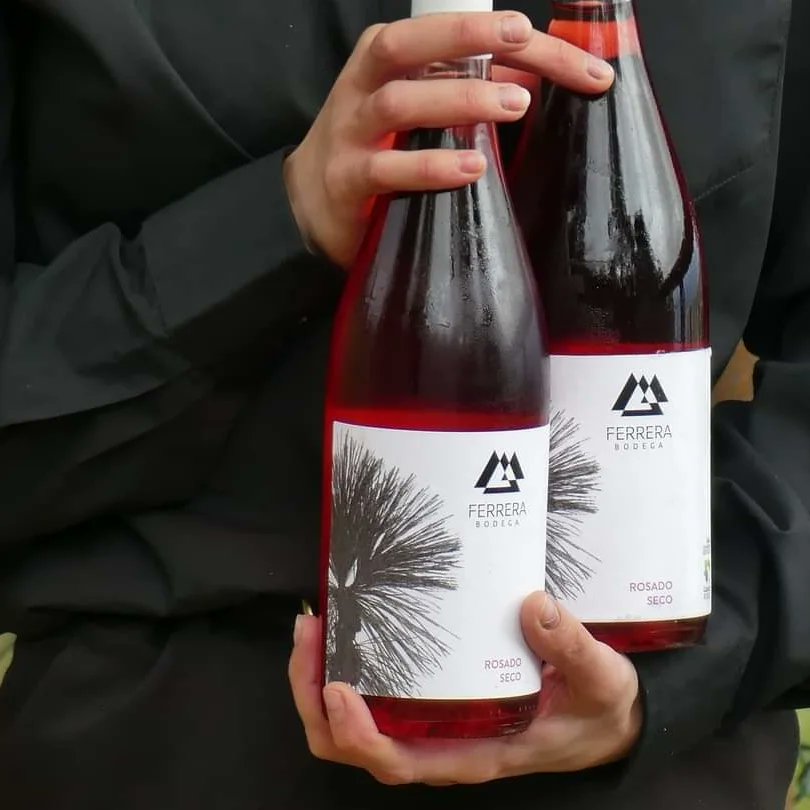 Como en casa, en ningún sitio.
#BodegasFerrera #Vino #Wine #Winelover #Enoturismo #Tenerife
<a href="/CanaryWineDOP/">Canary WINE</a> <a href="/Vinostenerife/">Vinos de Tenerife</a> <a href="/VisitTenerifeES/">VisitTenerifeES</a>