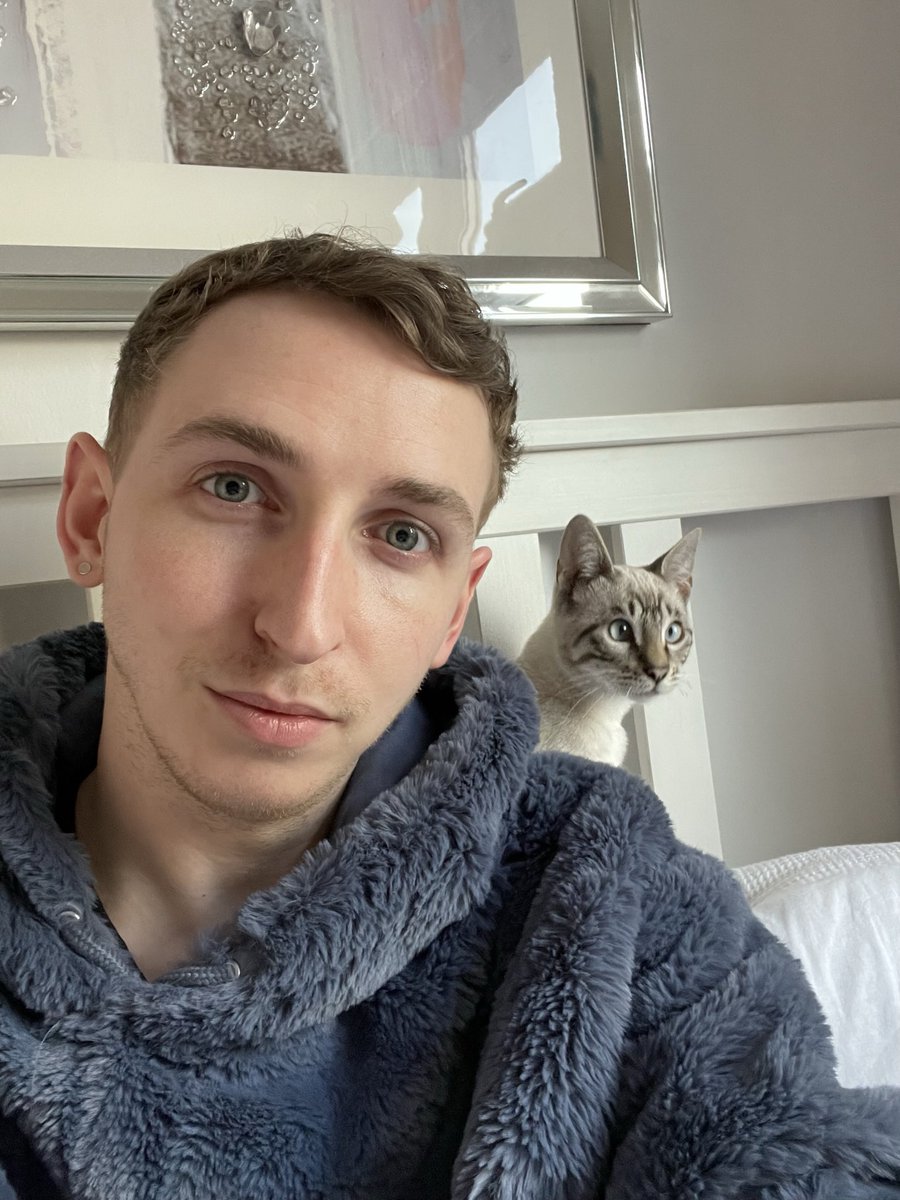 dan tweet media