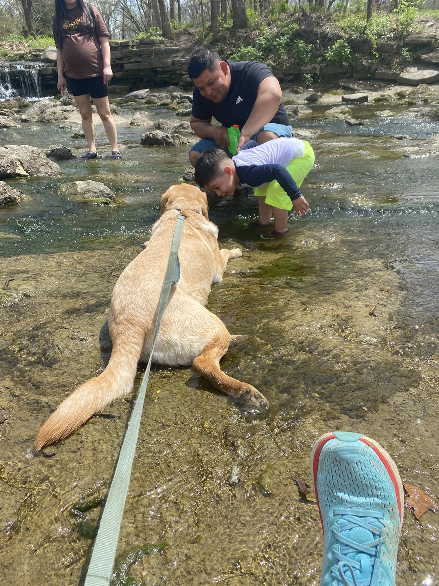 MissKramerSCSF's tweet photo. Even though he’s off duty, Titan makes kids happy everywhere he goes! #dogsofMason #masonmoment #kindnessstartswithME https://t.co/xW6DXyc8gj