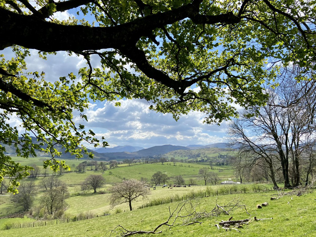 rosetintedlass's tweet photo. Thirty nine miles this week mostly in Matterdale in the lakes. Hit 100 mile target for @Sarcoma_UK #StepIntoSpring and Claire &amp; I have raised near £1000 with her company match funding. Thanks to all of you who have donated. Two months today since we lost lovely Rob #NHS1000miles https://t.co/uaYMsEcuT7