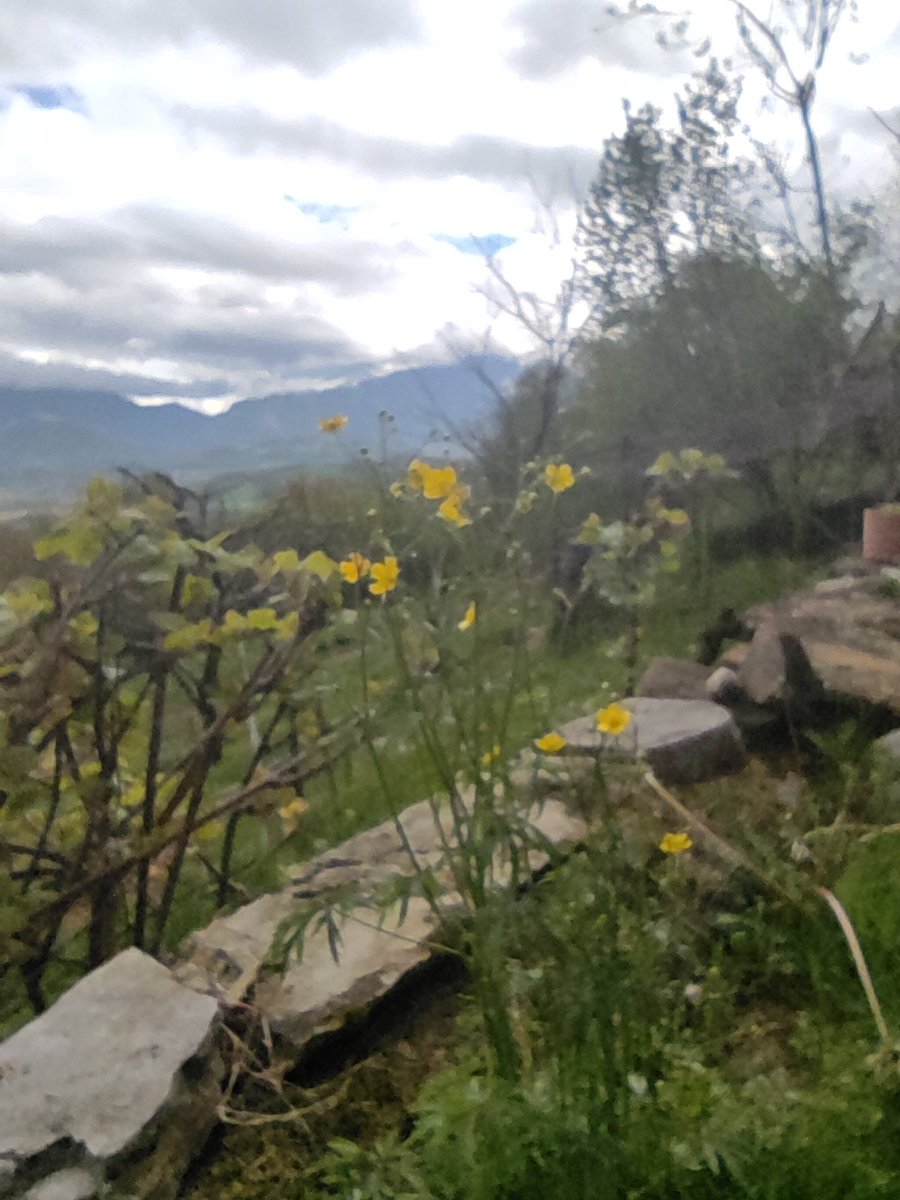 marziatonon's tweet photo. #MosaicoFotografico #pioggia e #nuvole su una #domenica #primaverile https://t.co/cCnxo0ENzM