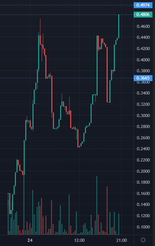DonDogeOfficial's tweet photo. NEW ATH #DONDOGE🔥💪
THE NEXT x100 - LFG
#BSC #BSCGems #BCSgem #BSCGemAlert #BNB https://t.co/DYODsEdmZj