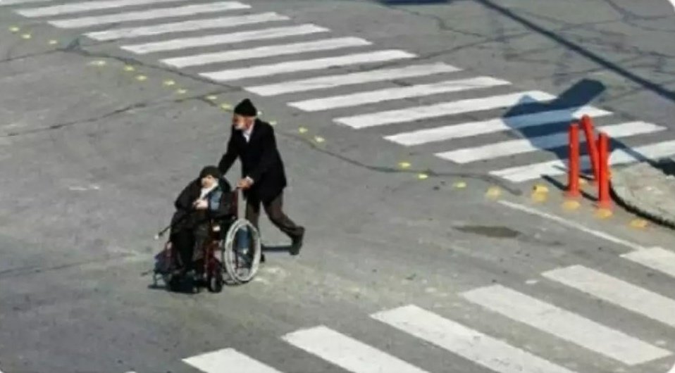 Kuşa' kanadı ağır gelmez 🌿