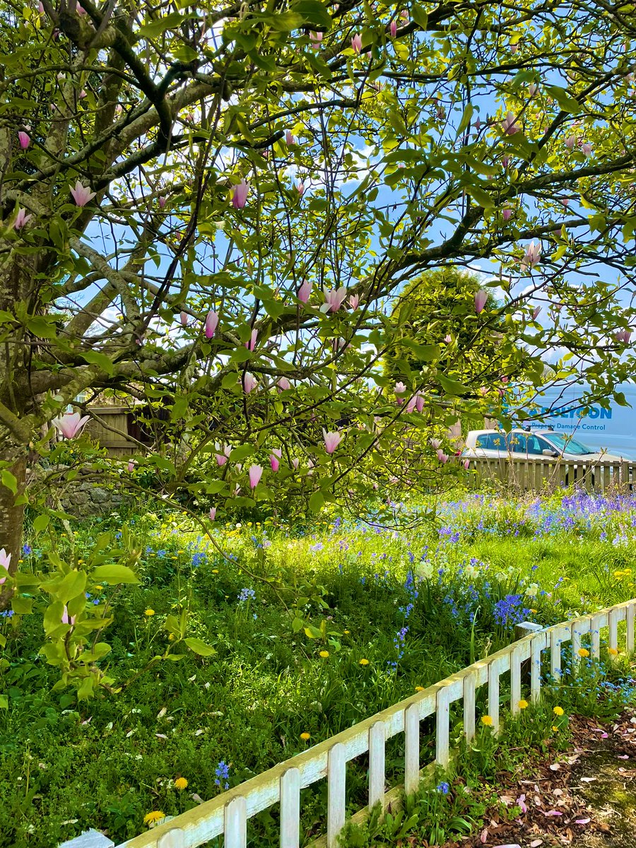 Sunday afternoon campaigning <a href="/nptwestlab/">Newport West and Islwyn Labour</a> <a href="/NewportLabour/">Newport Labour 🌹</a> 🌹