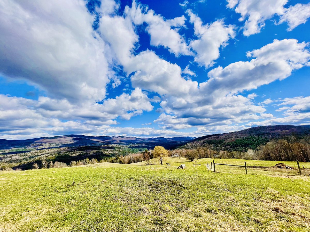 iharten007's tweet photo. The Grass is Looking Greener 🌱#springtime #vermont #sometimesthegrassisgreener https://t.co/padMFkWd0R
