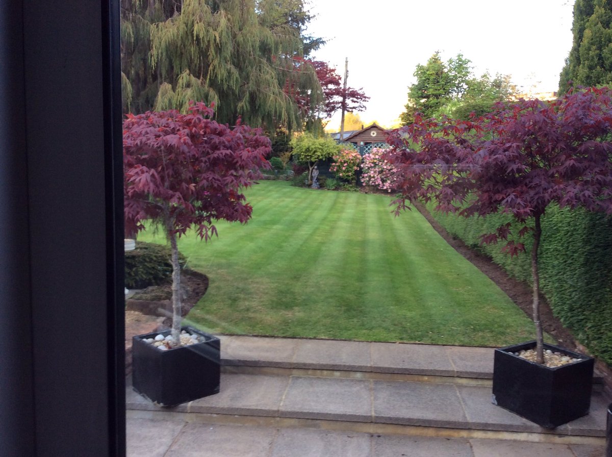 veracarsonn's tweet photo. Grass cut today by Clare garden looking good https://t.co/Nl9DtU6MnA