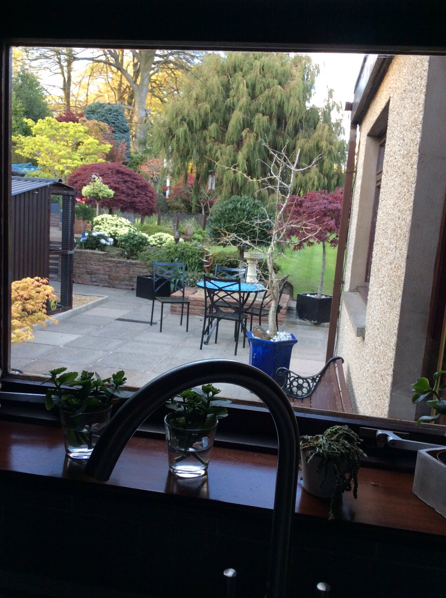 veracarsonn's tweet photo. Grass cut today by Clare garden looking good https://t.co/Nl9DtU6MnA