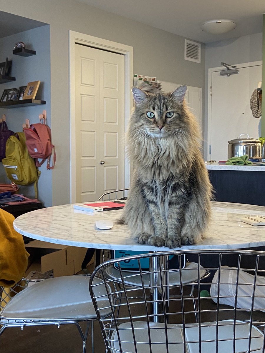 KarlaKorman's tweet photo. Finished second draft. My progress is being sternly monitored #2daypoem2022 https://t.co/FLSjK7xPkI
