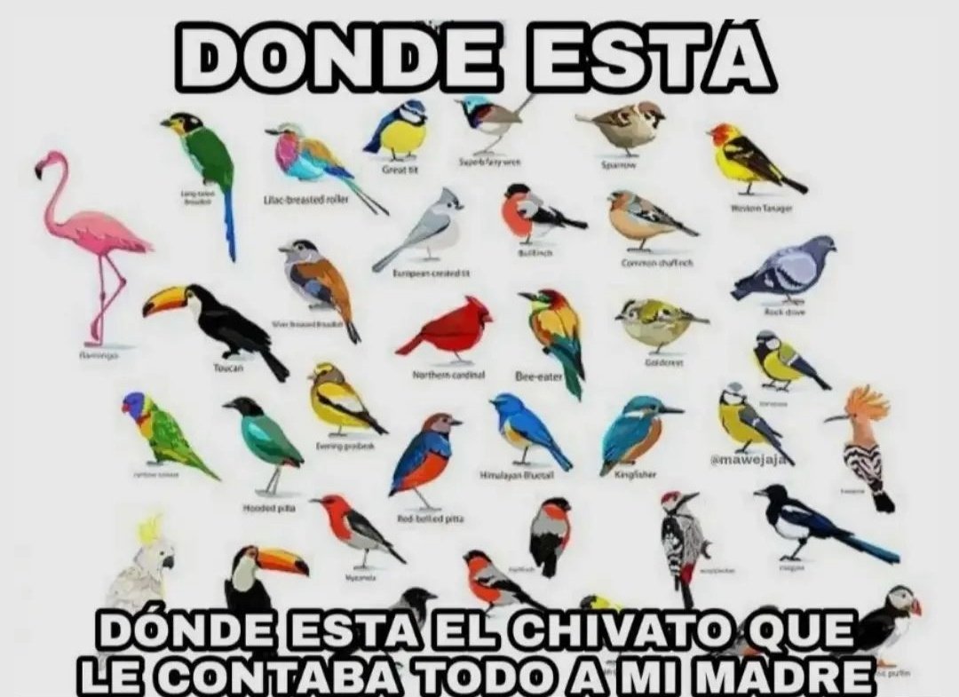 9Martintxo's tweet image. 