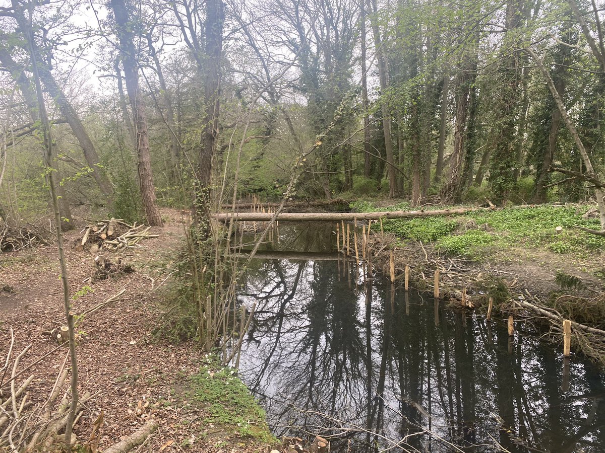 garethElm's tweet photo. Recent works picture dump. River and lake habitat restoration. Gully blocking for moorland restoration and NFM. https://t.co/PTg9FaivgU