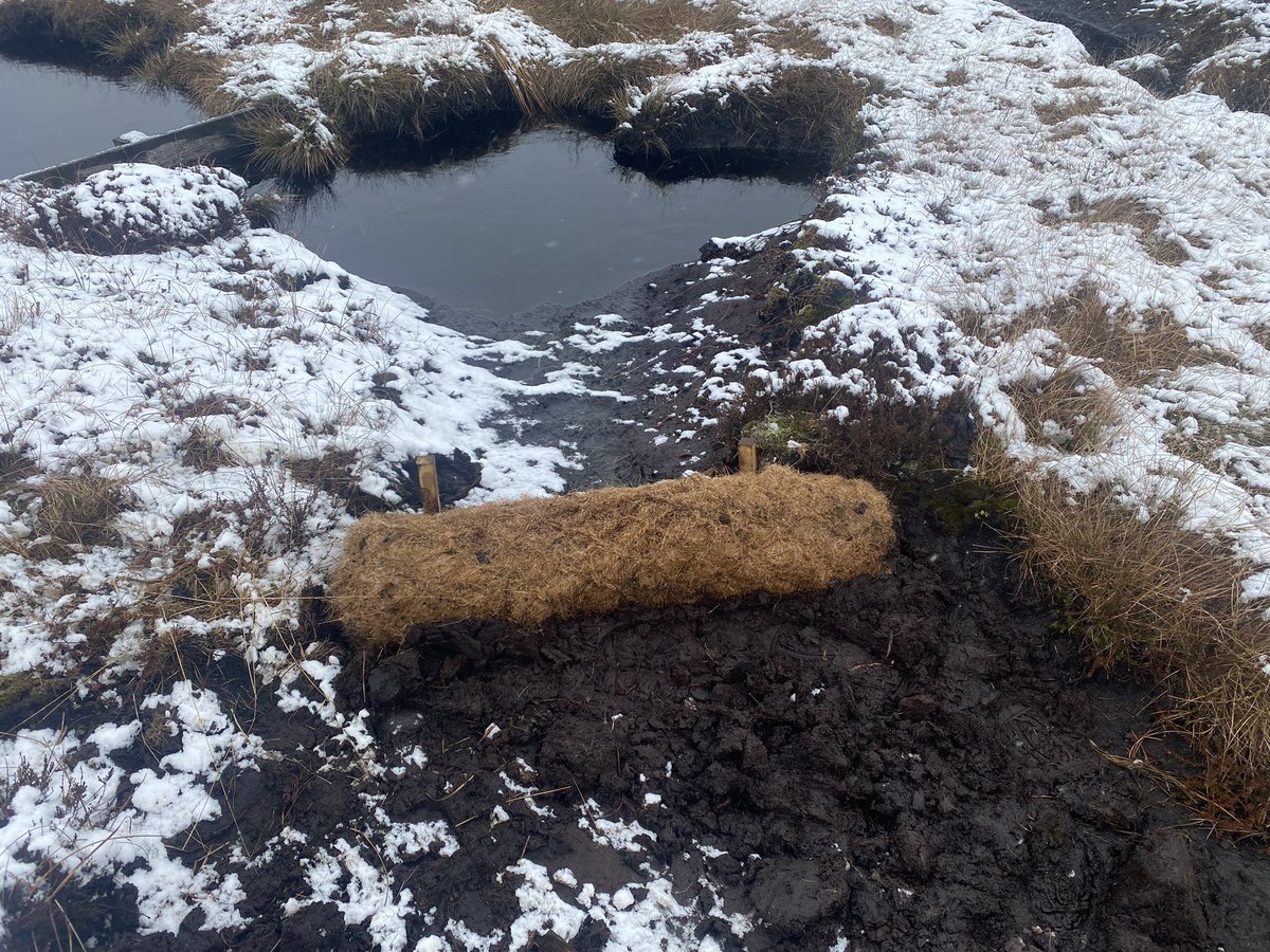 garethElm's tweet photo. Recent works picture dump. River and lake habitat restoration. Gully blocking for moorland restoration and NFM. https://t.co/PTg9FaivgU