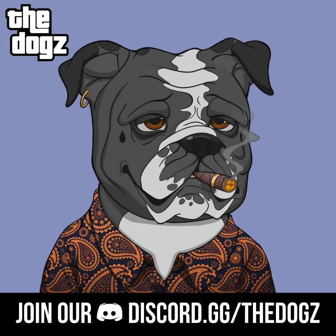 We have just announced (on our Discord) info on how to get WHITELIST spot.

Get yours ➡️ discord.gg/thedogz 

#NFT #Whitelist #NFTCommunity #Solana
