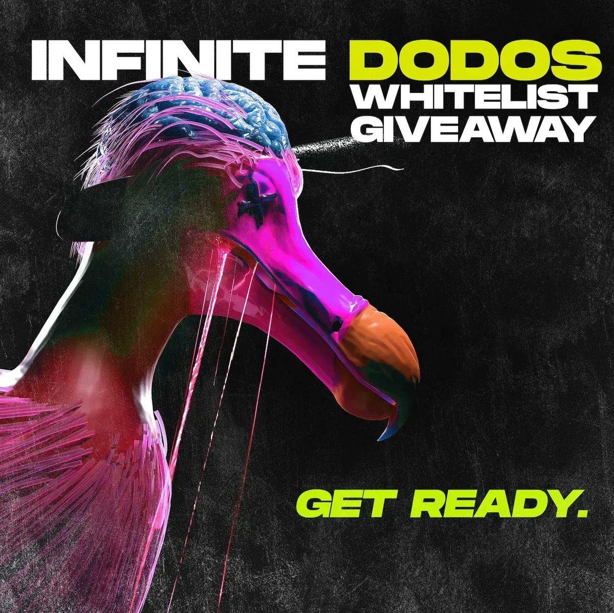 InfiniteDodos's tweet photo. Who wants another #Whitelist #Giveaway?

💙 100 retweets and (Do)do another one! 💙

👇Which of your friends wants a spot? Tag them👇

#NFTCommunity #Web3 #InfiniteDodos https://t.co/kbICZefA9O