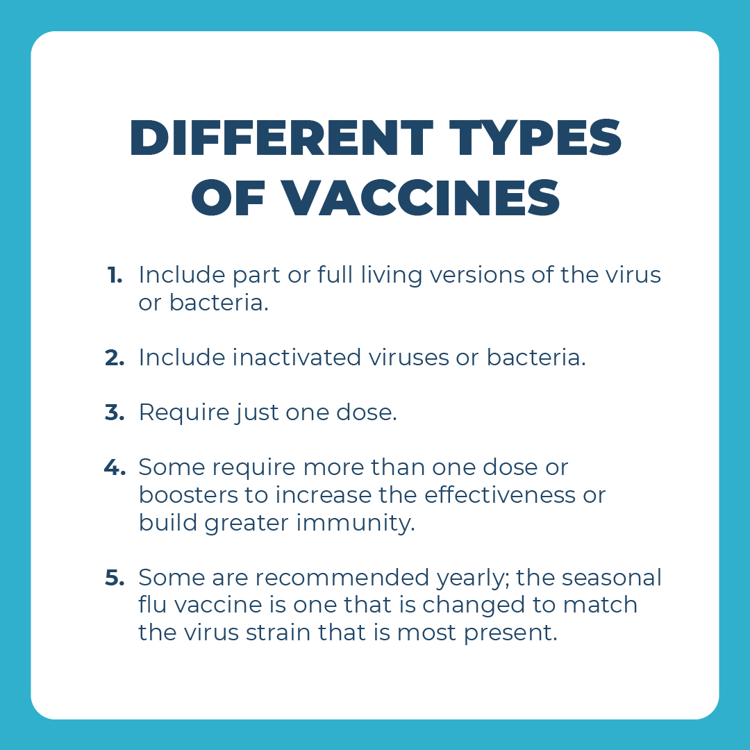 timely_care's tweet photo. Vaccines have been getting a ton of press recently. Information on how they work and why they’re effective can be confusing and hard to find. Swipe through these #timelytips for a quick crash course. #worldimmunizationday #timelycare #forstudentsforfree https://t.co/0w5fwBl5pr