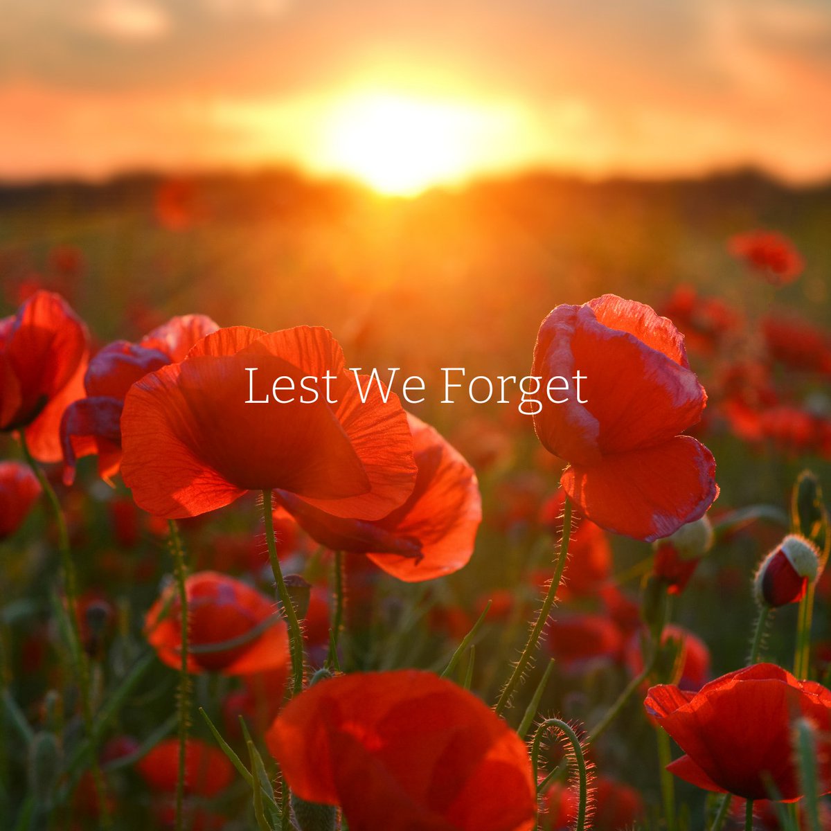 CoronisOfficial's tweet image. Lest we forget. 
They shall grow not old, as we that are left grow old;
Age shall not weary them, nor the years condemn.
At the going down of the sun and in the morning
We will remember them.
- Laurence Binyon

#lestweforget #anzacday #lightupthedawn