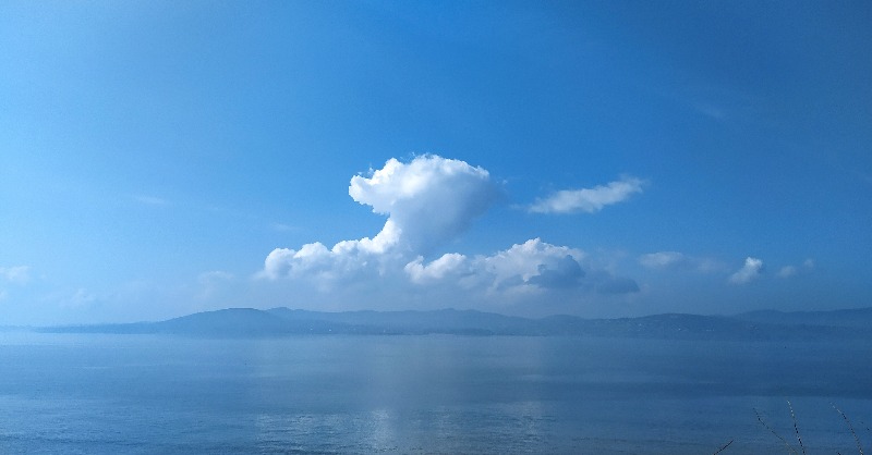 NotThatWeKnow's tweet photo. Large swan heading down the Swilly. ๐๐ง
#cloud #swan #swancloud #cloudscape #irishsky #swilly #loughswilly #sunnyweather #notthatweknow #buncrana #donegal #ireland https://t.co/GAZTpKkjjP