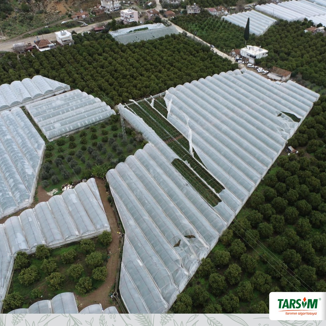 TARSİM’den Sera Üreticilerine 165 Milyon TL Hasar Ödemesi
 
#tarımsigortasızolmaz #tarımsigortası #tarsim #tarımınsigortasıyız