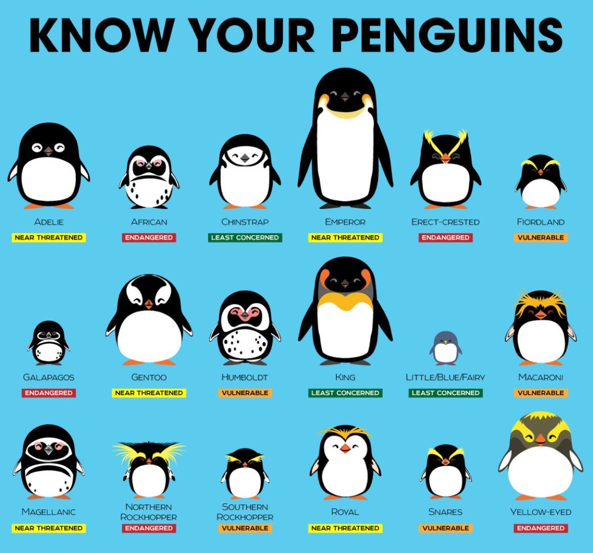 Happy World Penguin Day! Know your penguins! There are 18 species, all found in the Southern Hemisphere, though the Galapagos lives on the Equator. Six are native to #Antarctica; many are threatened or endangered #WorldPenguinDay #penguins pic Peppermint Narwhal