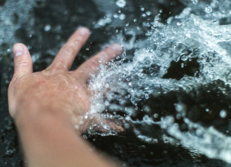 Bruno 🐈‍⬛🇵🇱🇺🇸🏒 tweet media