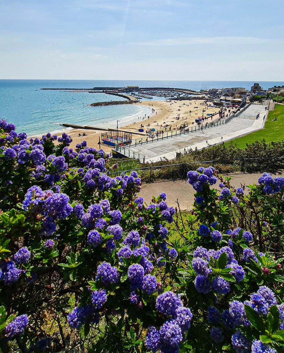 Love Lyme Regis tweet media
