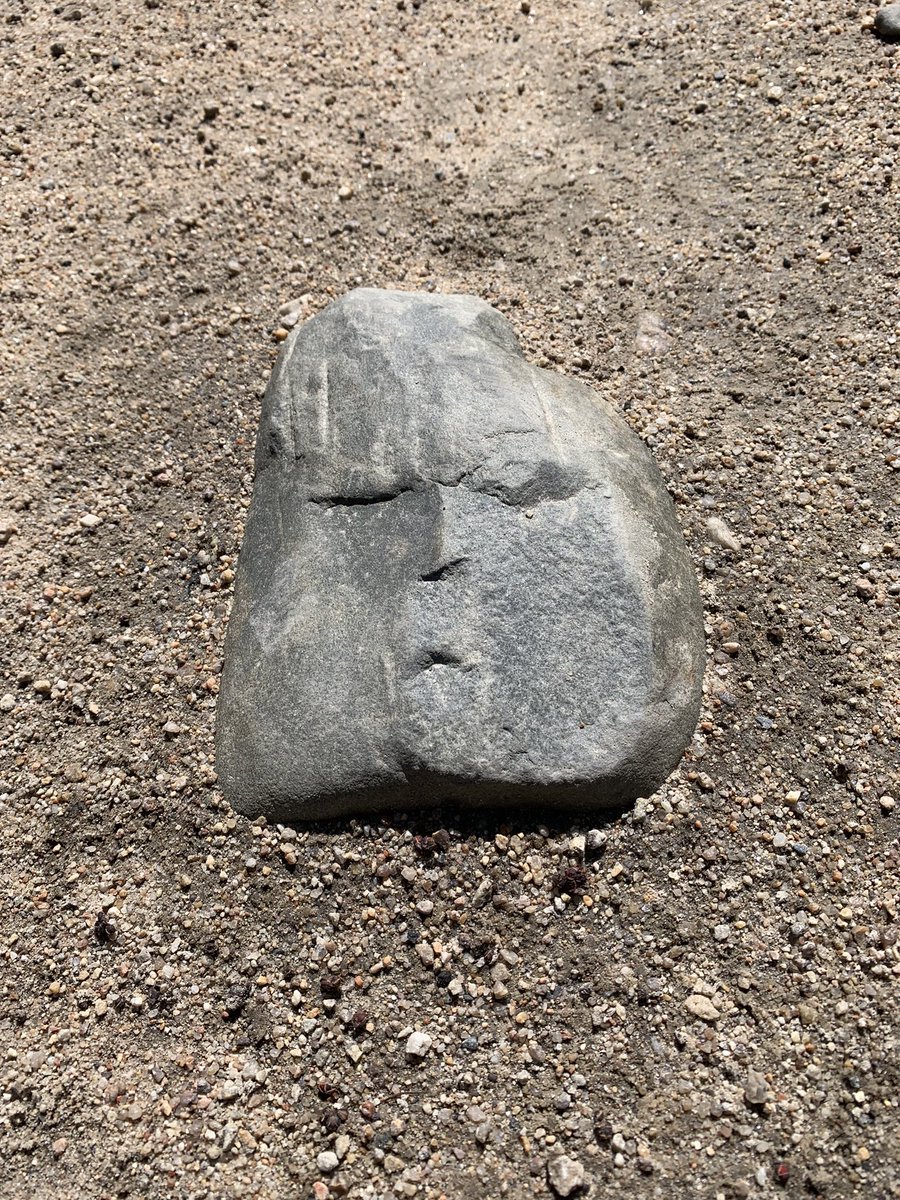 Interesting rock I came across on my walk today…