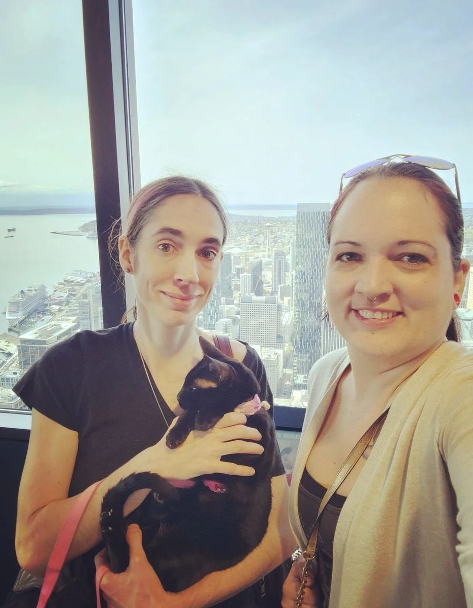 ThatsSoMeana's tweet photo. Spending time with sis and her beautiful face! Almost 1000 feet up. ThatRX8Chick AKA @ShivelyCreates
#Skyview Observatory
#Seattle #SpaceNeedle
#ESA #SupportKitty https://t.co/I7Gc5mIi3l