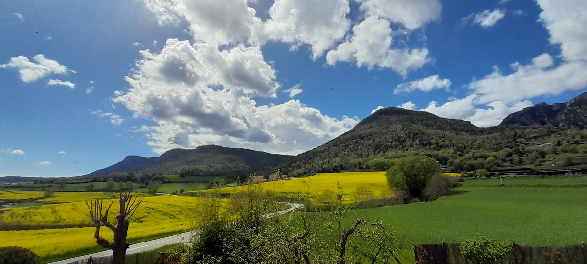 rousprat's tweet photo. T'imagines treballar amb aquestes vistes?
#meravellesdelmónrural #viurearural #Berguedà https://t.co/sKxhX5yONW
