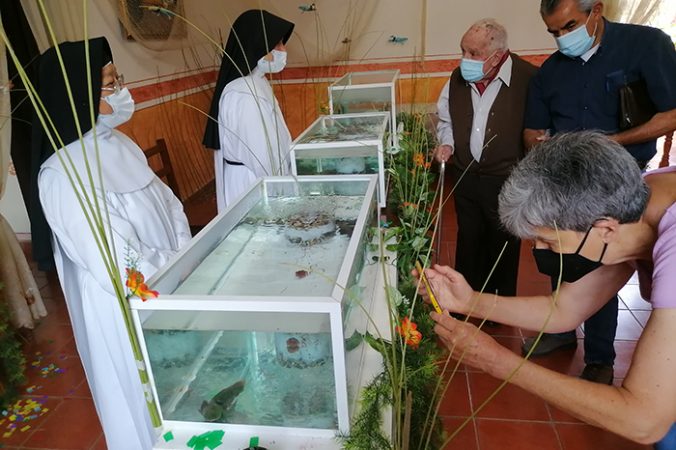 vozmichoacan's tweet photo. #Entérate 😱 Madres dominicas de #Pátzcuaro abren al público exposición sobre el #Achoque 👇
https://t.co/xwiMOftFqf https://t.co/dT0EF6g4p6