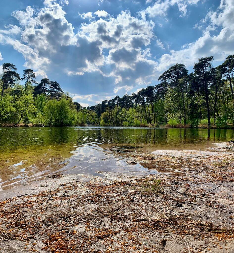 Emile Peters tweet media