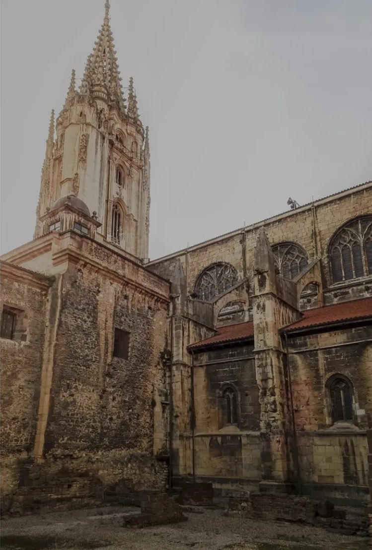 ¡Buenas noches <a href="/igers_oviedo/">Igers Oviedo</a>! Puntos de vista de la Catedral de #Oviedo 📸😍🙌🏻✨foto de @silviariestraphoto

 ✨❤️✨🌟💫✨#igerstierrina #igers_oviedo #igersspain #igers #igersoviedo #igersasturias