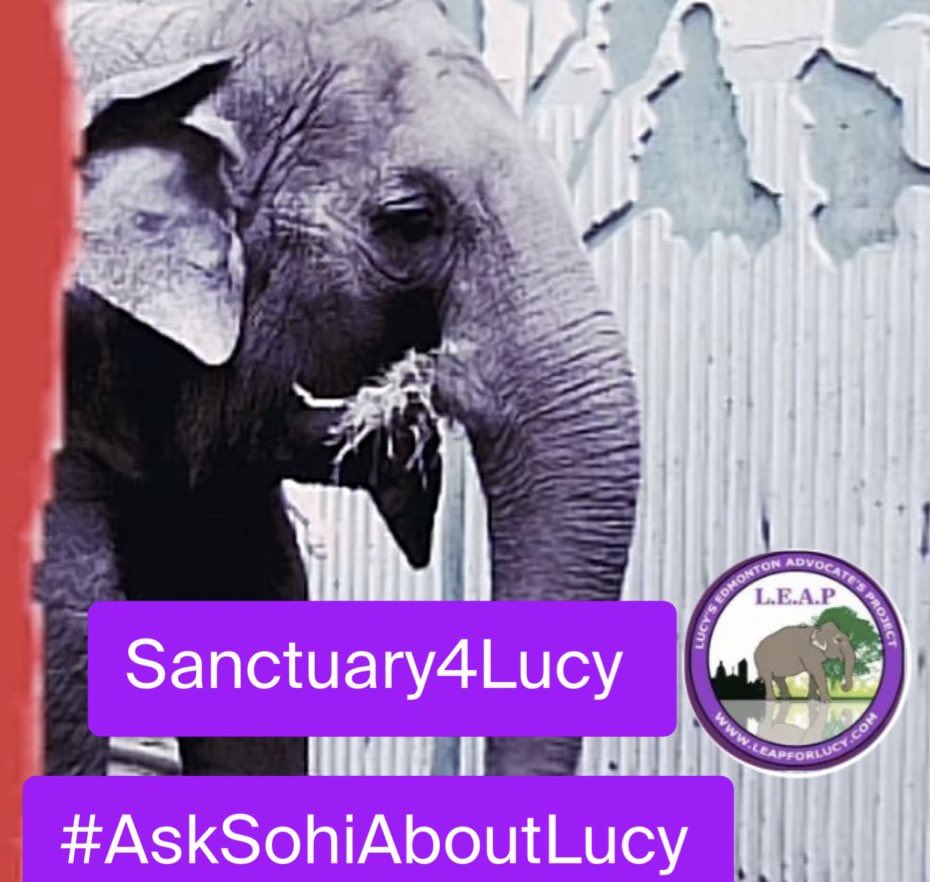 LEAPyeg's tweet photo. Don’t forget as the seasons change for #Lucy so do we
We won’t give up on you Lucy
Your voice is getting stronger because #TogetherWeCan with the amazing people of Twitter.
A change is coming on #Tuesday stand with us as we all fight for Lucy
No more #YearsLost enough is enough https://t.co/ePTRt6eYpg