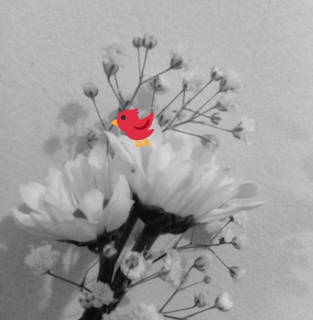kalbiminsimyasi's tweet photo. ,,,,,, 💫🌙

        #GeceyeBirAyet 

#Bismillahirrahmanirrahim

"Ey iman edenler!
Samimi bir TEVBE ile Allah'a dönün...
Umulur ki Rabbiniz sizin kötülüklerinizi örter..."
                      ( Tahrim, 66/8 )
,,,,,,💫🌙
                      #Huzurla https://t.co/6gZq1TDWCp