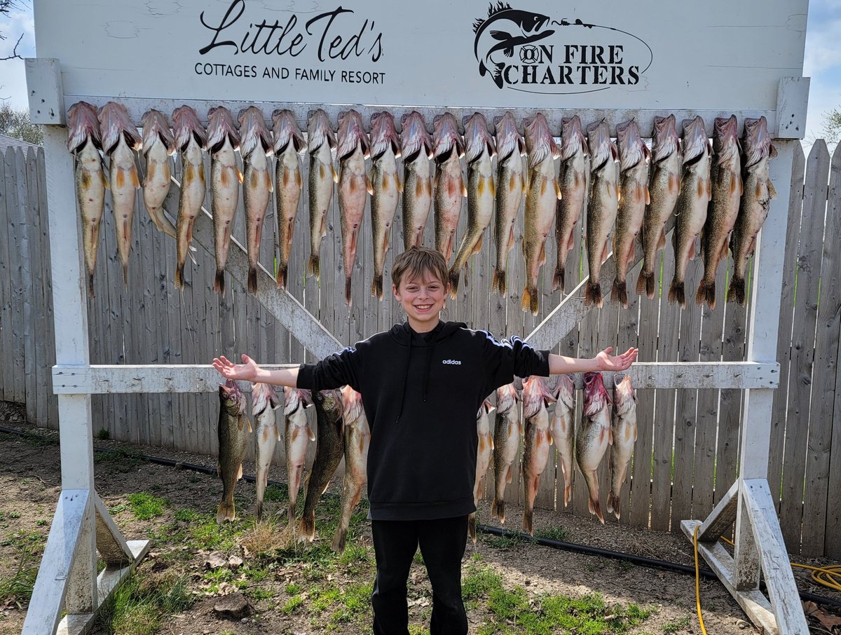 bangtail_saints's tweet photo. We caught a few today! Man i love making memories with this son of mine. #walleye #lakeerie #limitedout https://t.co/pBHPeEM9Me