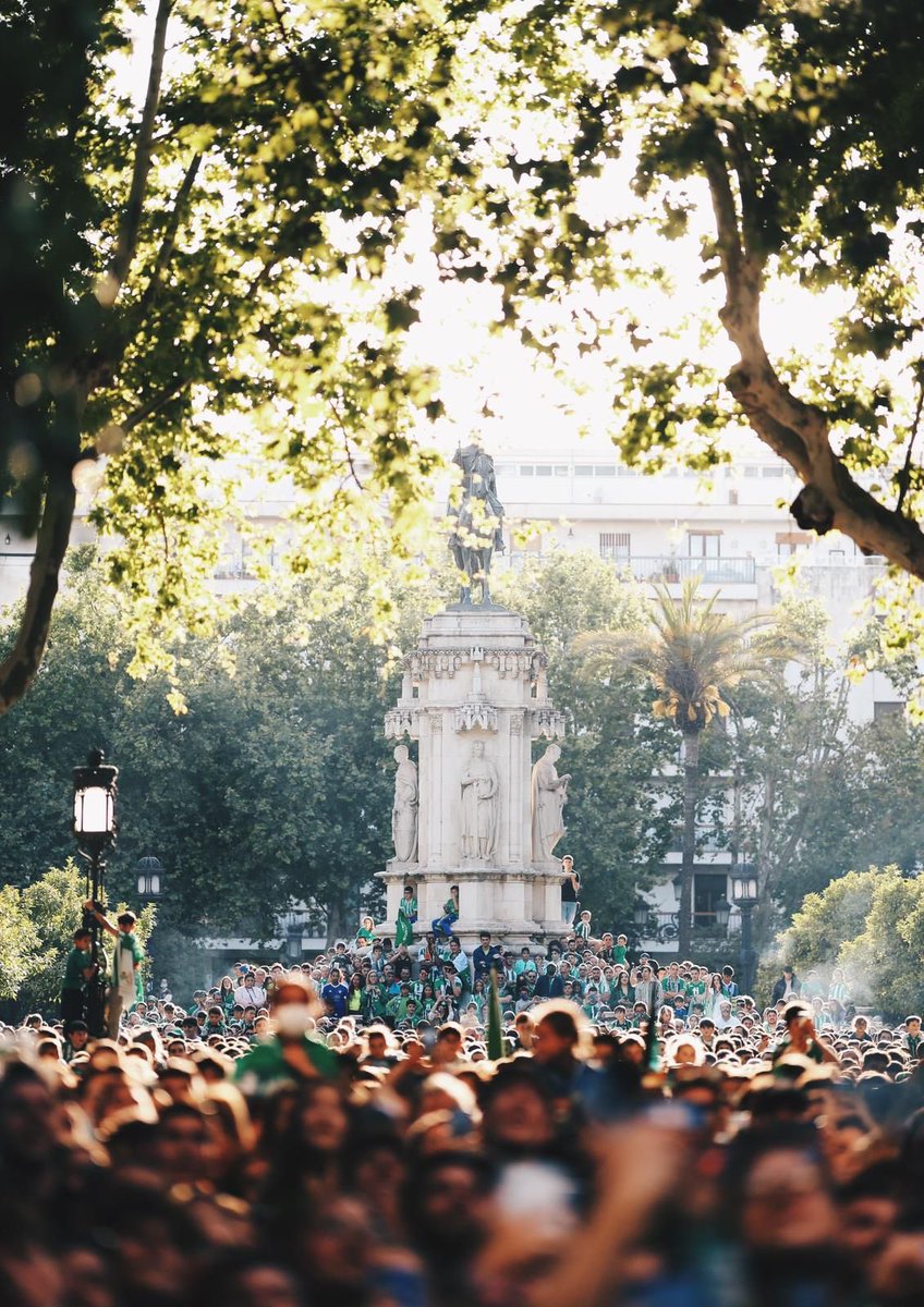 RealBetis's tweet photo. 🤗🏆💚

Y volvimos a Plaza Nueva.

#BetisAlé https://t.co/wmSuhGPLqp