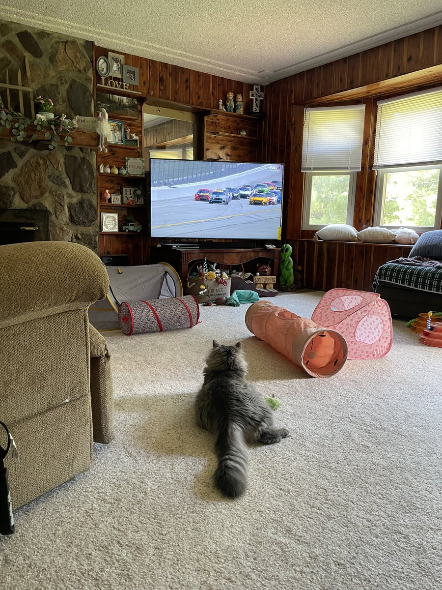Well Nelson is watching <a href="/NASCAR/">NASCAR</a> <a href="/NASCARONFOX/">FOX: NASCAR</a> warm up laps. Where’s the in car cameras <a href="/AndyVJeffers/">Andy Jeffers</a>
