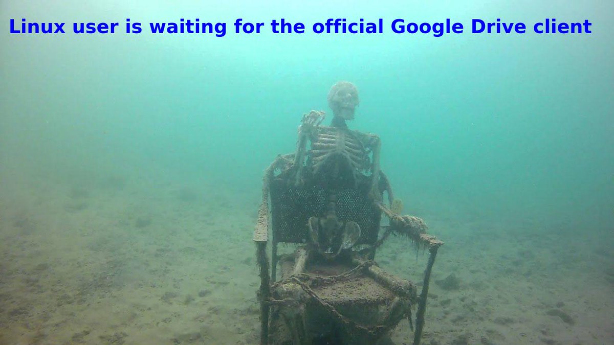 Linux user is waiting for the official <a href="/Google/">Google</a> Drive client since last 10 years