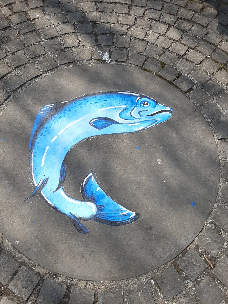 evan_mcnamara11's tweet photo. Great to see all this colouer around the city today, looks great 👌👌👍🤗 #Limerick #StreetArt #panoramicwheel #LimerickCity #riverfest https://t.co/7cLxTkYatK https://t.co/OeAm9rbimz