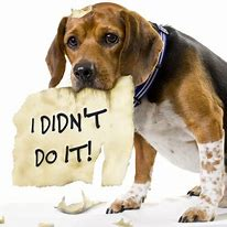 Shambles151's tweet photo. @LordCFalconer But what if the dog that ate the homework did not know it was homework?

The PM broke this law as he does not accept any law applies to him - and having done so - could hardly admit this to Parliament - could he?

Can't really believe intelligent adults can even debate this B/S. https://t.co/AlI0ORqOve
