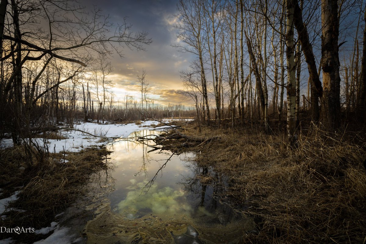 Transformation time. The winter memories melting away in the warm #spring sun.

#explorealberta #springtime #sunset #alberta #sky #reflection #reflection_shotz #water #photography #landscapephotography #canon