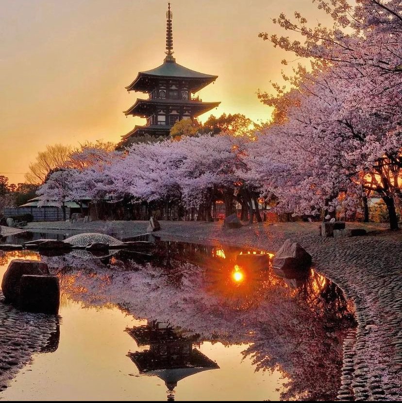 There’s no limit to the beautiful places which the world has to offer 😍

📍Hyogo, Japan 🇯🇵