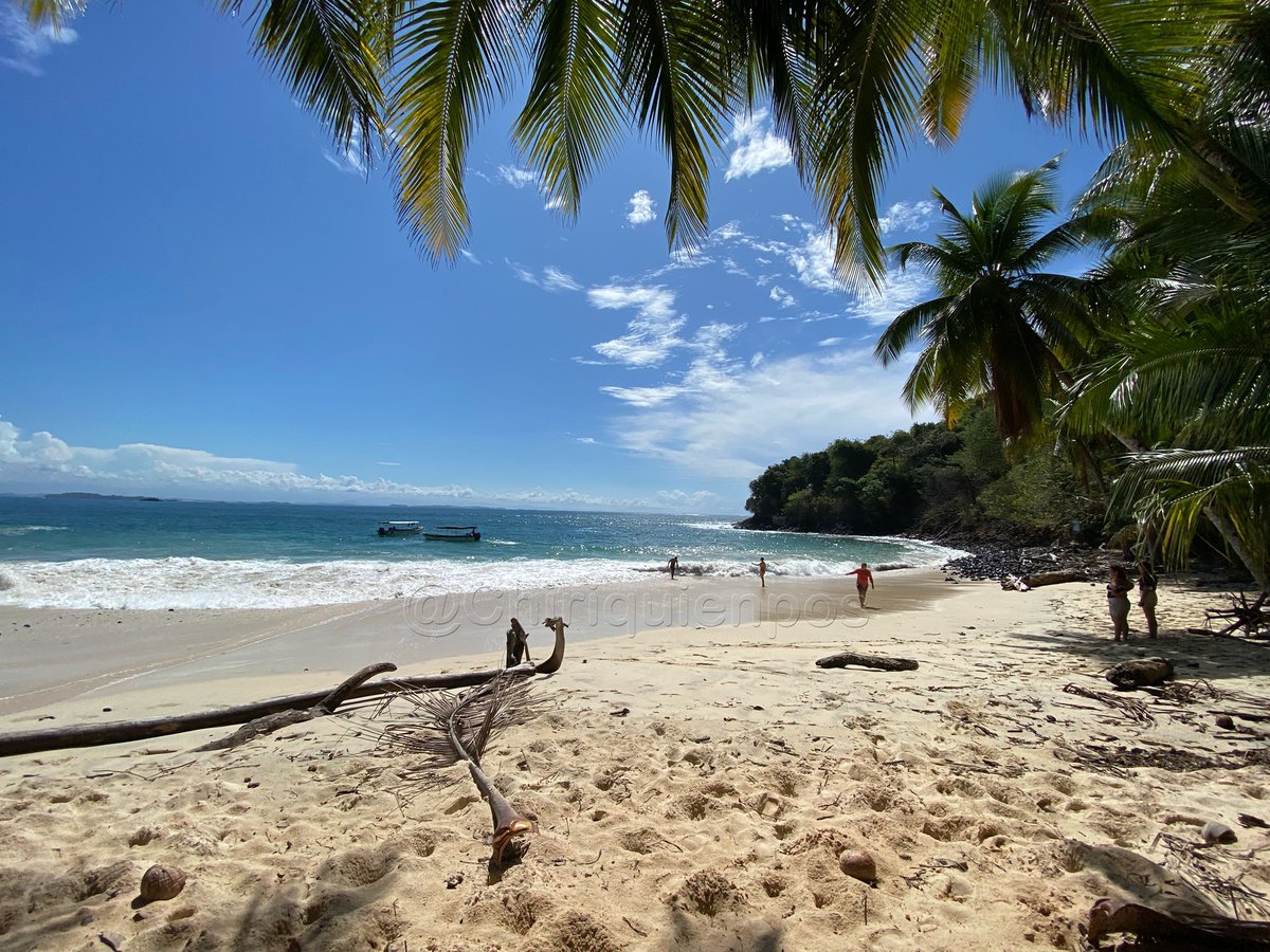 El Golfo  de Chiriqui es una belleza, joya natural. Las islas que encontrarás te sorprenderán saca un tiempo y dale la vuelta, te va a gustar!