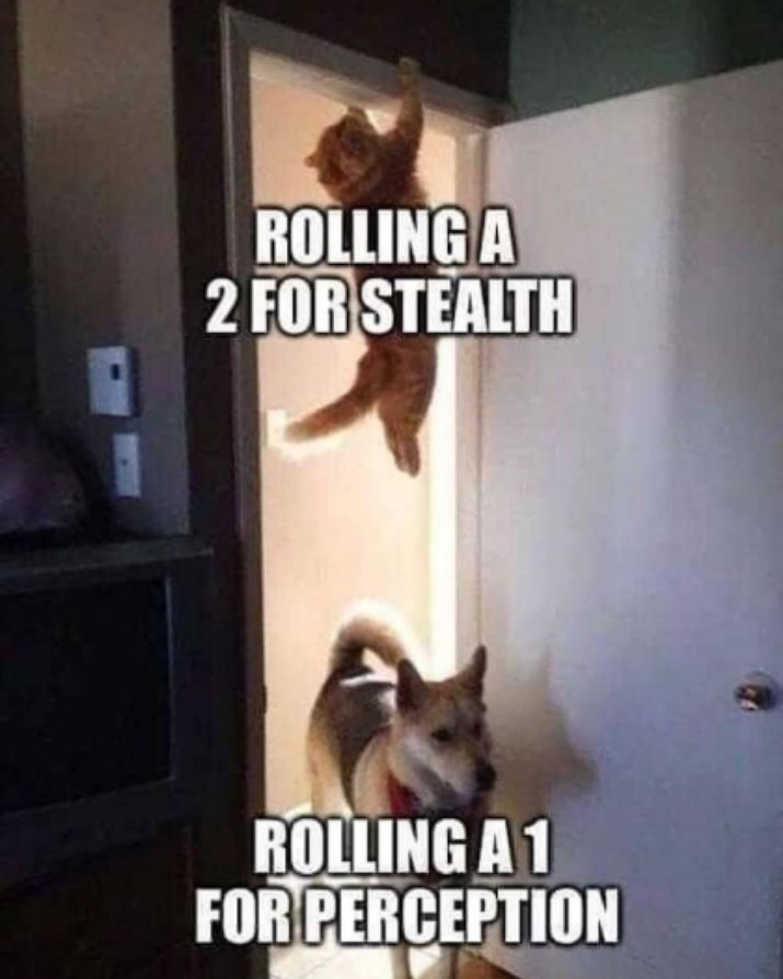 RollPlayGamers's tweet photo. #dnd #humor #funny #dndmemes #funnymemes #wholesome #dice #nat1 https://t.co/rziGPxird9