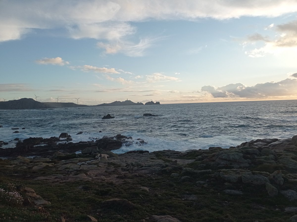 MikeCrossing_'s tweet photo. Ya de vuelta tras un finde perfecto! Paseo por la costa, por la noche verbena y coches de choque (llevaba 10 años sin subirme a uno) y para despedir hoy un churrasquito🤤 https://t.co/3B5am8tsVu