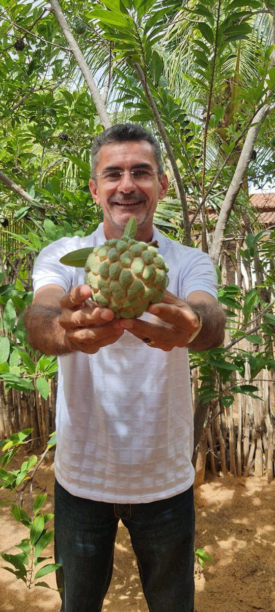 FranciscodoPT13's tweet photo. Você come essa fruta por pinha ou por fruta do conde ? #pinha #frutadoconde #ata #frutas #tropicais #saborosa #Deliciosa https://t.co/MbVhynkrpI