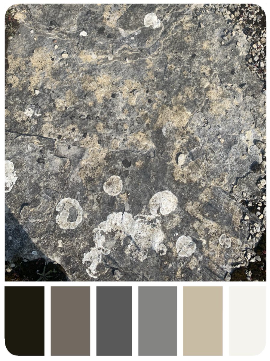 #scenicartistreference #setdresserreference #textureartist  #scenicreference #textures #surfaces #colourpalettes #paintreference  #textureartist