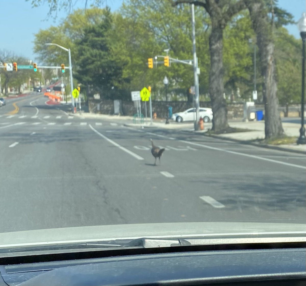 Malcolm H Bates tweet media