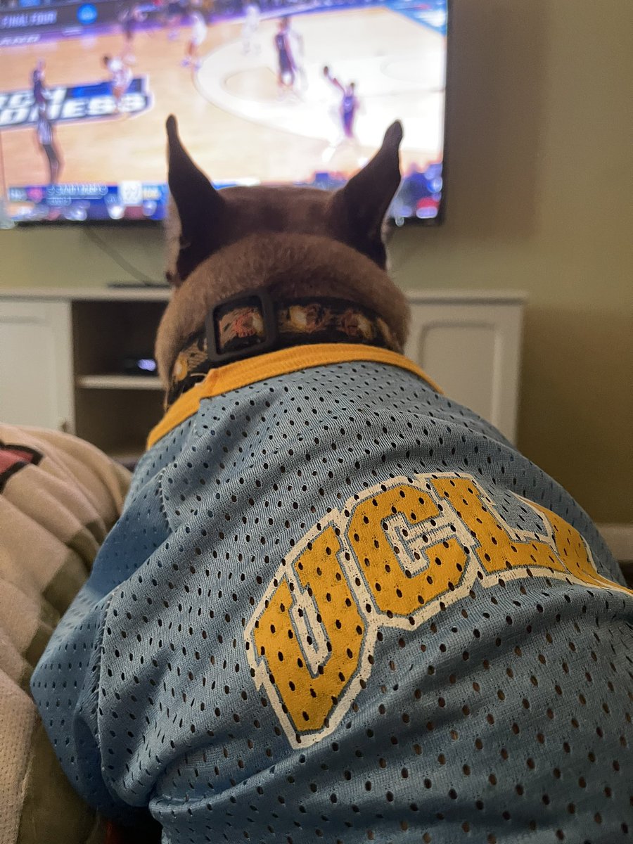 Preston Prince tweet media