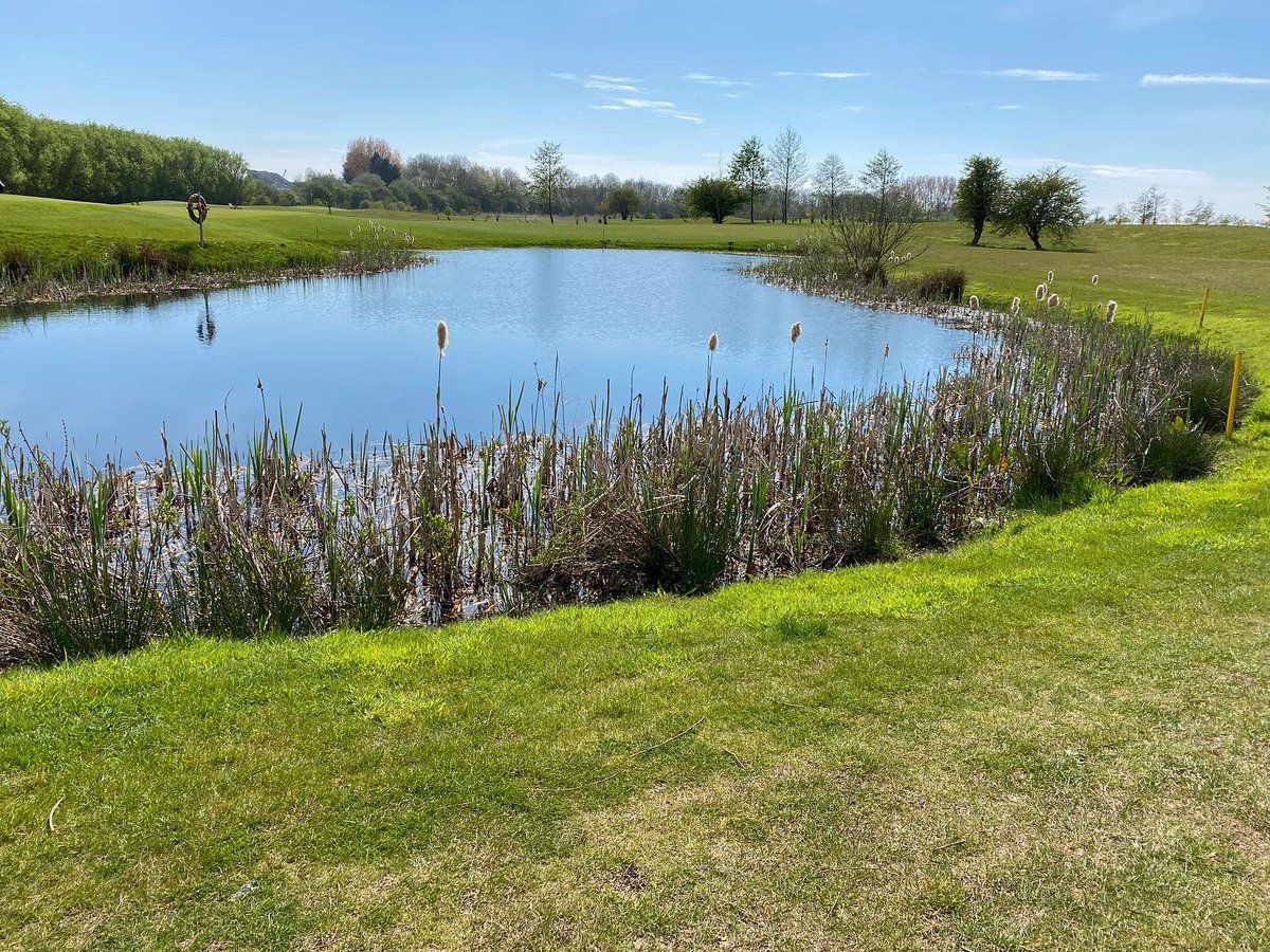 Duane97350871's tweet photo. Another great day for golf except for that wind #igolf #stablefordcompetition @burstwickgolf @EnglandGolf https://t.co/Du0T074QWR