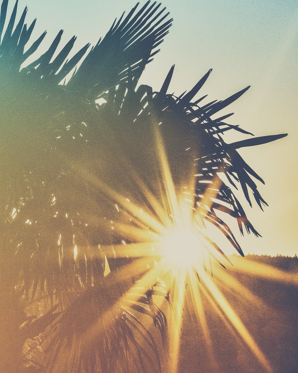 CourtneySlue's tweet photo. Sunday Blessings "I See the Light, it Shines so Bright" #courtneybless #TruthfulVision now on all digital platforms! Check it out! #spotify 🔥🔥 @CourtneySlue 
https://t.co/LxM0JyUKye https://t.co/dzOpFHI55t